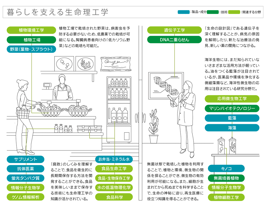 暮らしを支える生命理工学　説明図